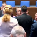 VIDEO: Bugarski poslanici se potukli zbog uvođenja evra