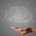 Mozak koristi strategije rezonovanja kada rešava komplikovane mentalne zadatke