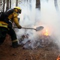 U Severnoj Makedoniji registrovano 29 požara, 10 aktivno