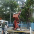 (Фото/видео) Несвакидашња акција у Цвијићевој улици: Спасено заробљено маче, пролазници наградили чин аплаузом