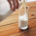 Kravlje, pasterizovano ili biljno – koje mleko biramo