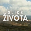 Slike života: Sve što diše i miriše, u nedelju u 15.15