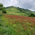 Ova planina zapadne Srbije dobija zaštitu kao prirodno dobro