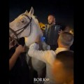 (Video) Hit snimak iz surčina: Borko Radivojević zasvirao harmoniku na belom konju: Ljudi u transu