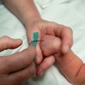 Bolest se otkriva iz samo tri kapi krvi: Šta smeju da jedu deca sa fenilketonurijom? VIDEO