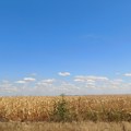 Ekstremno vreme požnjelo evropskoj poljoprivredi najmanje 14 milijardi evra: Poljoprivrednici su prve žrtve klimatskih promena…