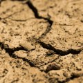 Višegodišnje suše ugrožavaju poljoprivredu Maroka