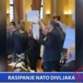 Rasipanje NATO divljaka