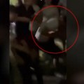 SKONUS pozvao rektora da osudi nasilje nad studentima koji žele da uče