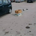 Neko ostavio bolesne golubove, a nadležni kažu:“ Sutra ćemo“!