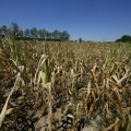 Klimatske promene u Srbiji: Šteta od 10 milijardi evra za 25 godina