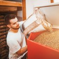 Dosta vam je drva i loženja: Pre nego što kupite peć na pelet, proverite ovih nekoliko stvari