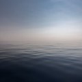Novi snimak ajkule u Grčkoj, na samo 80 metara od obale