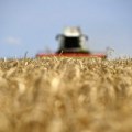 Rusija ima velike zalihe pšenice–preti dalji pad cena