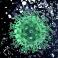 U Srbiji za sedam dana 107 zaraženih korona virusom