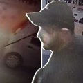 Neviđen šok! Saznajemo ko je lopov sa snimka iz Lazarevca: Cela Srbija danima bila na nogama zbog njega