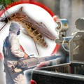 Ekipe "Čistoće" i sutra suzbijaju komarce, od ponedeljka krpelje: Evo spiska svih lokacija