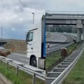 Šok za vozače na auto-putu kod Novog Sada Neverovatna zver u opuštenoj šetnji: Preskakala ograde i hodala između automobila…