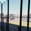 Žena koja je ubila tri osobe otrovnim pečurkama osuđena na doživotni zatvor