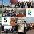 Pet godina OIE Srbija - Od ideje do ključnog aktera energetske tranzicije
