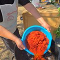MIRIS PEČENE PAPRIKE OBAVIO NIŠKU TVRĐAVU: Treća Ajvarijada vratila duh tradicije, svekrva i snaja otkrile recept za savršen…