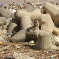 "Ovo je bio cunami a ne poplava": Katastrofa u Libiji: Voda odnela čitave porodice, ljudi vrištali u pomoć: Talasi se dizali…