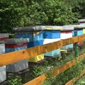 Subvencije za pčelare do 5. jula