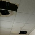 Pao deo plafona u Institutu za javno zdravlje u Kragujevcu