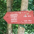 Kakav je Vidikovac „Sokolica“