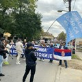 Pristalice vlasti blokirali Novo naselje, Detelinaru i centar Sremske Kamenice, policija nasilno odgurivala građane i novinare