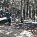 Srbija neće ili ne zna da upravlja rizicima od šumskih požara: Za poslednjih 10 godina vatra opustošila skoro 40 hiljada…