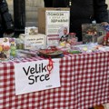 Bazar, nastupi i donacije: Inđija prikuplja sredstva za mladića Nemanju