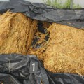ZAPLENA U OKOLINI RUME: Pronađeno više od 760 kilograma duvana, protiv dvojice podnete krivične prijave