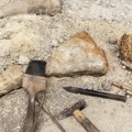 Otkriven najveći fosil škorpije dužine preko jednog metra