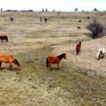 Na skriveno te vodim mesto – lepote istočne Srbije