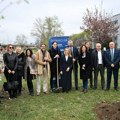 Beograd – Završen drugi ciklus DDOR akcije ka održivoj budućnosti