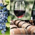 Да ли смо спреми за највеће тржиште света? Кинези ће куповати и српска вина, а мераче и наше винограде али има једна цака…
