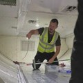 Zmija u avionu odložila let u Australiji