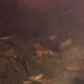 Detonacija u fabrici vojnog eksploziva u Tenesiju: Poginulo više osoba /video/