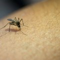 Virus Zapadnog Nila potvrđen u komarcu na Čukarici