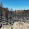 Ponovo gori Deliblatska peščara: Vatrogasci na licu mesta, u toku je borba da se vatra ne proširi