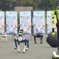 Kina: predstavljeno 300 robota koji zamenjuju ljude u najopasnijim misijama