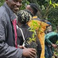 Afrika i životna sredina: Poseban državni praznik u Keniji kako bi zasadili 100 miliona stabala