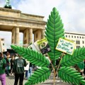 Nemačka i droga: Parlament legalizovao kanabis, ali će kupovina biti otežana