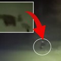 (Video) Sarajliju napao medved! "Trčao je prema meni, počeo sam da bežim... puka sreća da sam ostao živ"