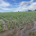 Osiguranje od grada: Precrtane Jarušice i okolina