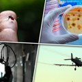 Batut o groznici Zapadnog Nila: Do 27. jula u Srbiji registrovano pet slučajeva