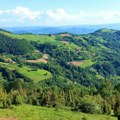 MASOVNA NAVALA NA SRPSKE PLANINSKE PLACEVE: Cene po aru skaču do NEBA, vlasnici traže pravo bogatstvo!