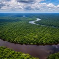Amazonija vekovima krila neverovatnu tajnu! Naučnici ispod gustih krošnji pronašli nešto što menja razumevanje prošlosti