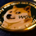 Dogecoin katapultiran na najvišu razinu u dvije godine